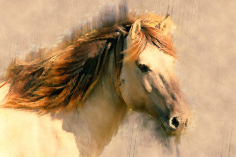 Blended Horse I White Modern Wood Framed Art Print with Double Matting by Curinga, Kim