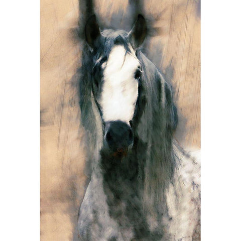 Blended Horse II White Modern Wood Framed Art Print by Curinga, Kim