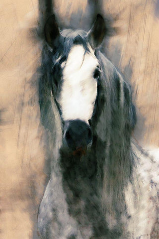 Blended Horse II Black Ornate Wood Framed Art Print with Double Matting by Curinga, Kim