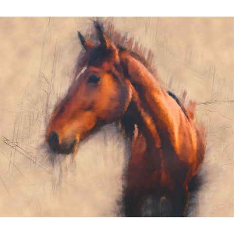 Blended Horse III Black Modern Wood Framed Art Print by Curinga, Kim