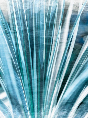 Greenery Essence II Black Ornate Wood Framed Art Print with Double Matting by Bane, Eva