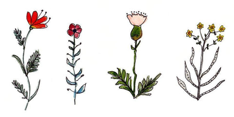 Botanical Vibes I White Modern Wood Framed Art Print with Double Matting by McCreery, Paul