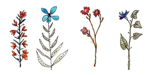 Botanical Vibes II White Modern Wood Framed Art Print with Double Matting by McCreery, Paul