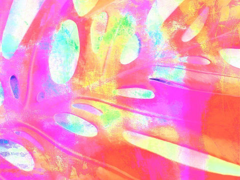 Summer Cheerfulness I White Modern Wood Framed Art Print with Double Matting by Bane, Eva