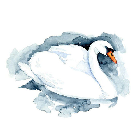 Silverlake Swan I Black Modern Wood Framed Art Print with Double Matting by Green, Jacob