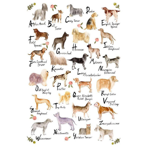 Dog Alphabet Gold Ornate Wood Framed Art Print with Double Matting by Wang, Melissa