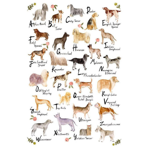 Dog Alphabet White Modern Wood Framed Art Print by Wang, Melissa