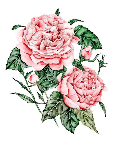 Roses are Red I Black Ornate Wood Framed Art Print with Double Matting by Wang, Melissa