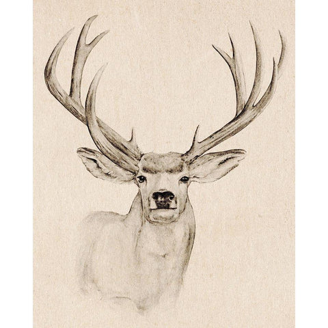 Natural Buck I White Modern Wood Framed Art Print by Warren, Annie