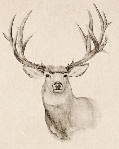 Natural Buck II Black Ornate Wood Framed Art Print with Double Matting by Warren, Annie