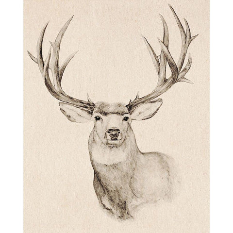 Natural Buck II Black Modern Wood Framed Art Print with Double Matting by Warren, Annie