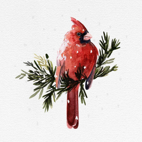 Cardinal with Snow I White Modern Wood Framed Art Print by Caroline, Emma