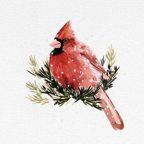 Cardinal with Snow II Gold Ornate Wood Framed Art Print with Double Matting by Caroline, Emma