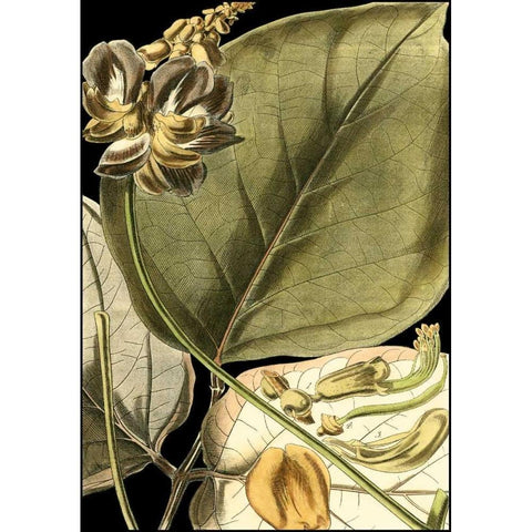 Tranquil Tropical Leaves I Black Modern Wood Framed Art Print with Double Matting by Vision Studio