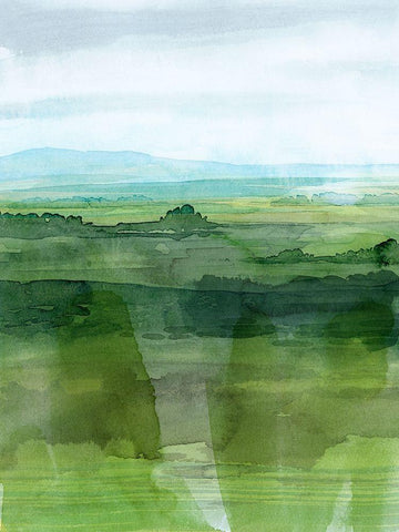 Jewel Tone Terrain I Black Ornate Wood Framed Art Print with Double Matting by Popp, Grace