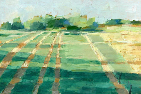 Mid Summer Shadows I Black Ornate Wood Framed Art Print with Double Matting by Harper, Ethan