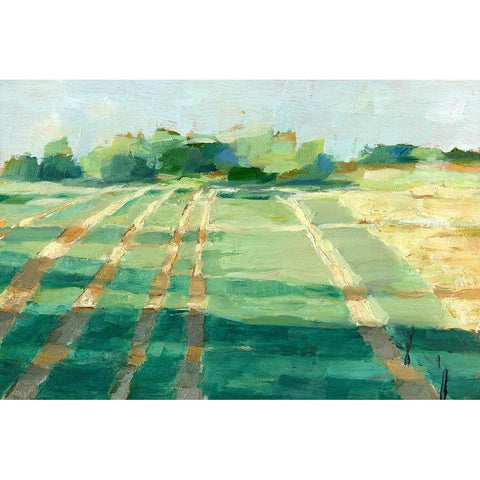 Mid Summer Shadows I Gold Ornate Wood Framed Art Print with Double Matting by Harper, Ethan