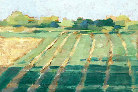 Mid Summer Shadows II Black Ornate Wood Framed Art Print with Double Matting by Harper, Ethan