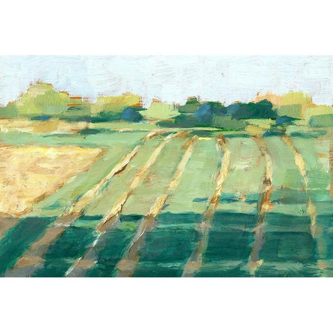 Mid Summer Shadows II Black Modern Wood Framed Art Print by Harper, Ethan