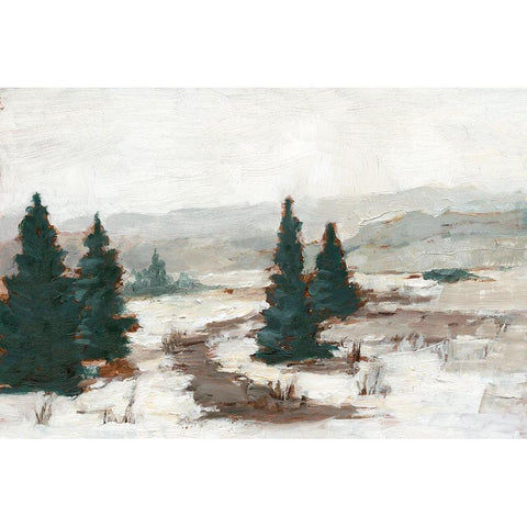 Melting Snow I Gold Ornate Wood Framed Art Print with Double Matting by Harper, Ethan