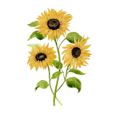 Sunflower Trio I Gold Ornate Wood Framed Art Print with Double Matting by Warren, Annie