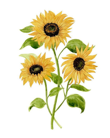 Sunflower Trio I Black Ornate Wood Framed Art Print with Double Matting by Warren, Annie