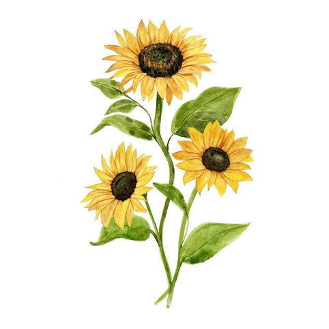 Sunflower Trio II Black Modern Wood Framed Art Print with Double Matting by Warren, Annie