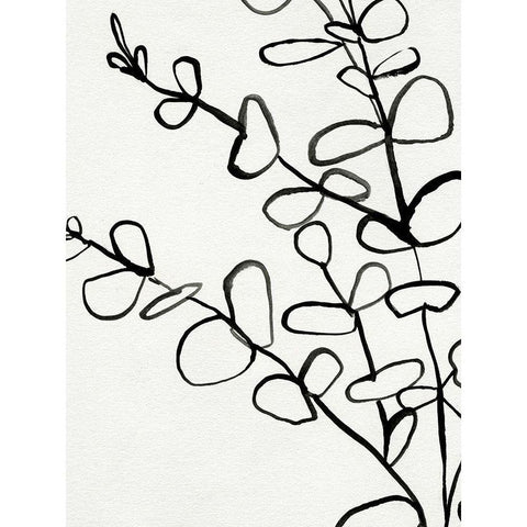 Sprig Contour I Black Modern Wood Framed Art Print with Double Matting by Barnes, Victoria