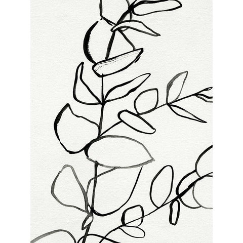 Sprig Contour II White Modern Wood Framed Art Print by Barnes, Victoria