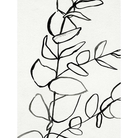 Sprig Contour II Black Modern Wood Framed Art Print with Double Matting by Barnes, Victoria