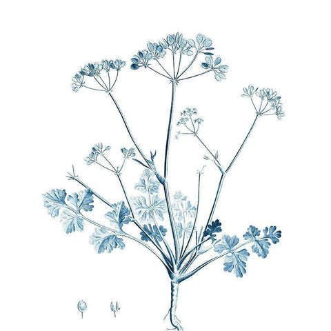 Antique Botanical in Blue IV Black Modern Wood Framed Art Print by Vision Studio