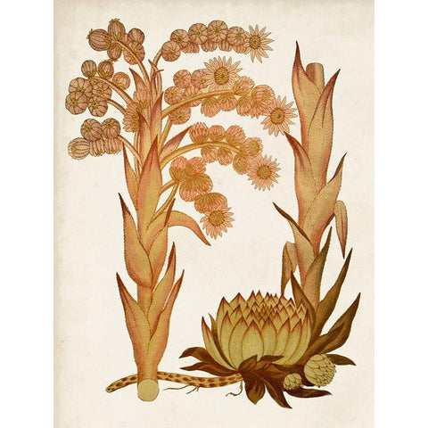 Muted Botanicals II Gold Ornate Wood Framed Art Print with Double Matting by Curtis