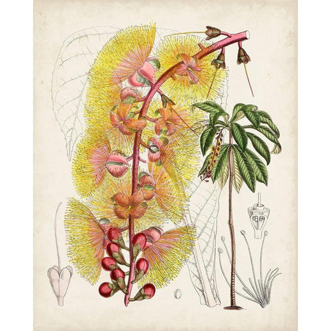 Delicate Tropicals VII Gold Ornate Wood Framed Art Print with Double Matting by Curtis