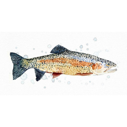 Watercolor Rainbow Trout I Gold Ornate Wood Framed Art Print with Double Matting by Caroline, Emma