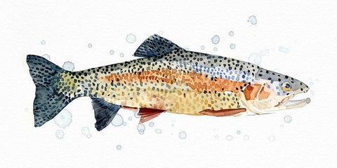 Watercolor Rainbow Trout I Black Ornate Wood Framed Art Print with Double Matting by Caroline, Emma