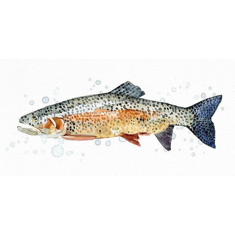 Watercolor Rainbow Trout II Black Modern Wood Framed Art Print with Double Matting by Caroline, Emma