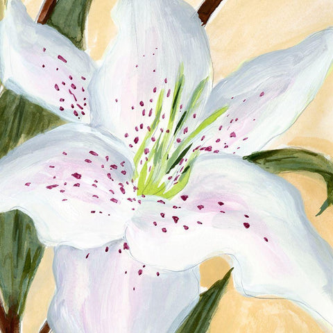 White Lily I White Modern Wood Framed Art Print by Warren, Annie