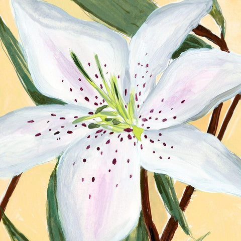 White Lily II Gold Ornate Wood Framed Art Print with Double Matting by Warren, Annie