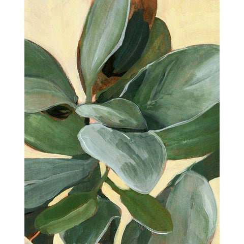 Plant Study I Black Modern Wood Framed Art Print with Double Matting by Warren, Annie