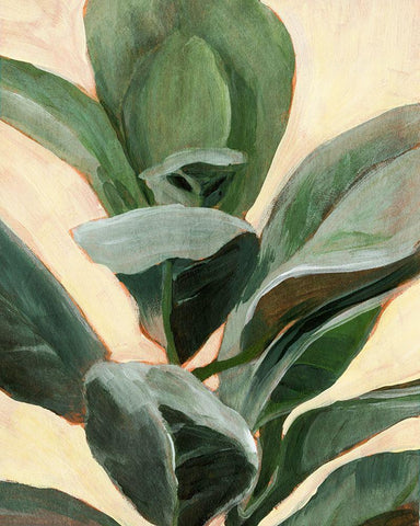 Plant Study II Black Ornate Wood Framed Art Print with Double Matting by Warren, Annie