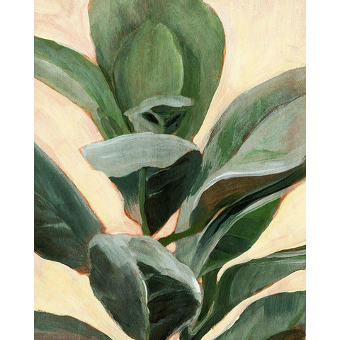 Plant Study II Black Modern Wood Framed Art Print by Warren, Annie