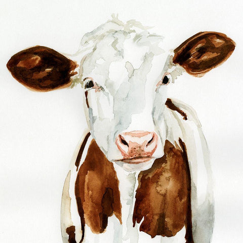 Cow Gaze I White Modern Wood Framed Art Print with Double Matting by Barnes, Victoria