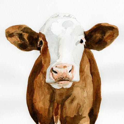 Cow Gaze II White Modern Wood Framed Art Print by Barnes, Victoria