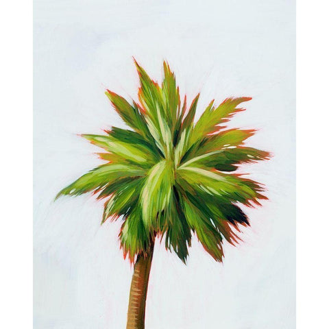 Palm Glow II Black Modern Wood Framed Art Print by Popp, Grace