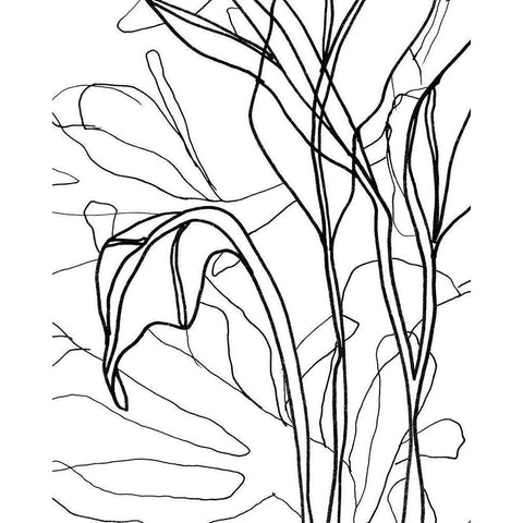 Tropical Lines IV Black Modern Wood Framed Art Print with Double Matting by Vess, June Erica