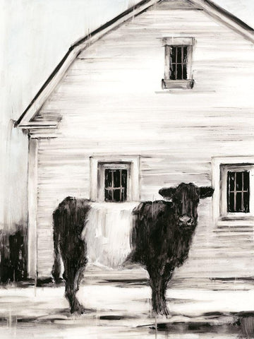 Belted Galloway I White Modern Wood Framed Art Print with Double Matting by Harper, Ethan