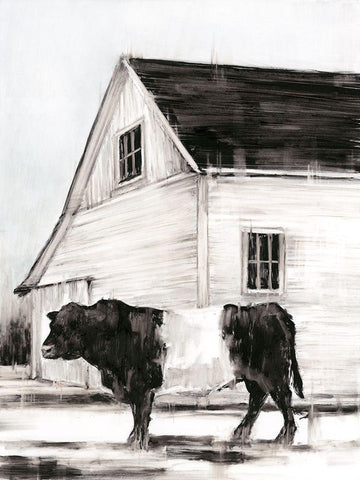 Belted Galloway II White Modern Wood Framed Art Print with Double Matting by Harper, Ethan