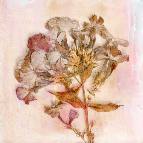 Remembered Flowers III Gold Ornate Wood Framed Art Print with Double Matting by Stalus, Judy