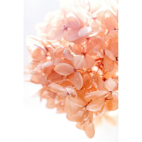 Sunny Morning I Black Modern Wood Framed Art Print by Stalus, Judy