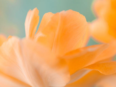 Double Vision I White Modern Wood Framed Art Print with Double Matting by Stalus, Judy